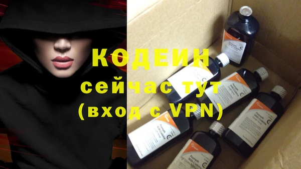 СК Кодинск