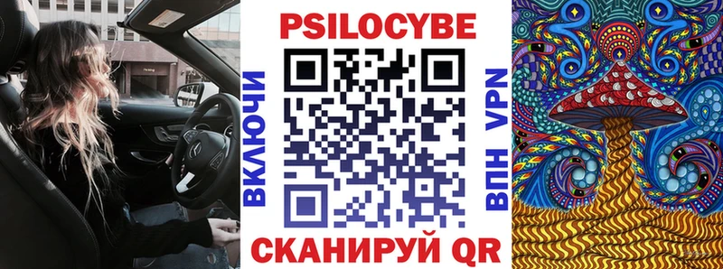 blacksprut зеркало  Прохладный  Галлюциногенные грибы мицелий 